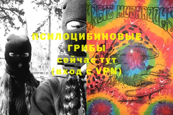 гидра Абаза