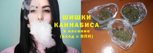 гидра Абаза