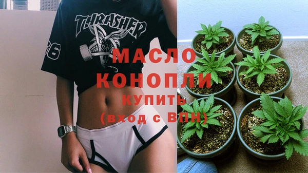 гидра Абаза