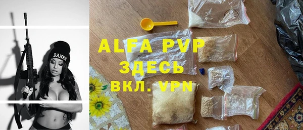 гидра Абаза