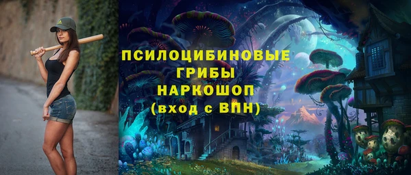 гидра Абаза