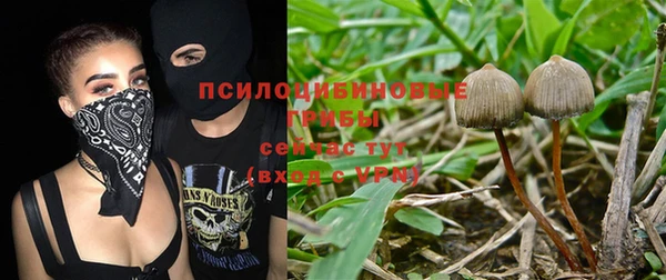 гидра Абаза