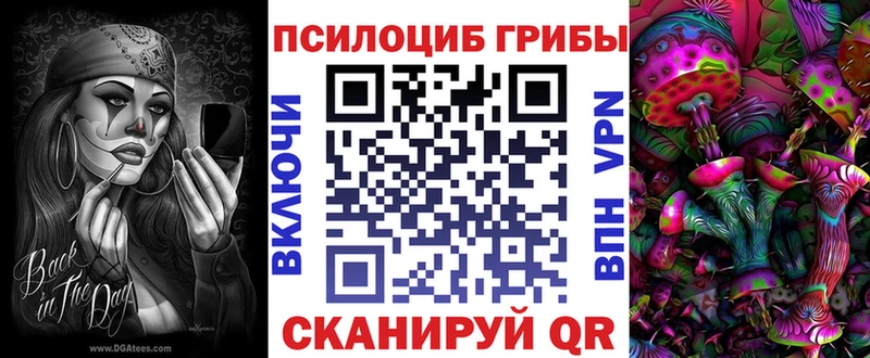 купить наркоту  Старая Русса  Псилоцибиновые грибы Magic Shrooms 